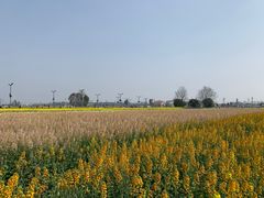 -中国天府农业博览园