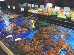 -船歌·鱼水饺青岛菜(闽江二路店)