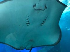 -福州罗源湾海洋世界旅游区