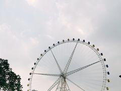 -锦江乐园舞狸花花游园会(夜场专享)