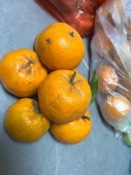 -Oasis Beauty水磨坊科技美肤中心