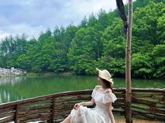 -洛阳白云山景区