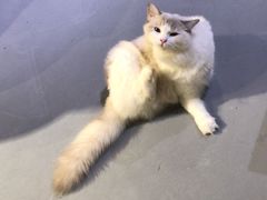 -小时光咖啡馆(开森度假森林店)