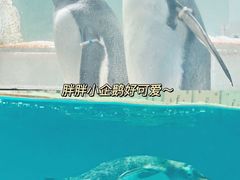 -正佳极地海洋世界