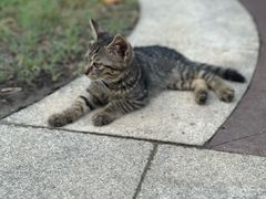 -海底捞火锅(万科广场店)