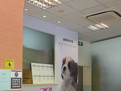 -瑞派申生动物医院·24H夜诊·国际动物医疗中心·骨外科(吴中路店)