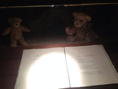 iphone_upload_pic-济州岛泰迪熊博物馆