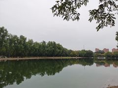 -森林公园(尖草坪区)