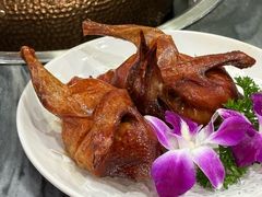 -鸽鸟轩(石岐店)