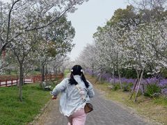 -上海海湾国家森林公园