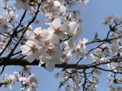 -同里国家湿地公园