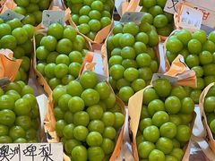 -油麻地果栏