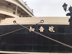 -武汉知音号