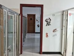 -北京京卫宠物寄养训练中心