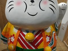 -屋虎猫馆(宝安大仟里店)