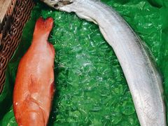 -宋园·金宴浙鲜馆(静安店)