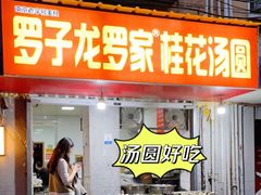门面-罗子龙罗家桂花汤圆(曹都巷店)