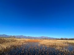 -野鸭湖国家湿地公园