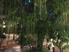 -越海渔村
