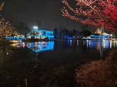 -成飞公园