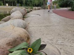 -绿岛公园(滨海新区)