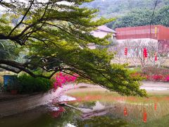 -广州雕塑公园