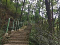 -南山植物园