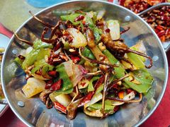 -蜀膳坊(洪公祠小区店)