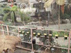 -南宫五洲植物乐园