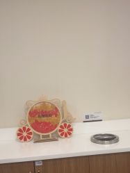 -上海玫瑰医疗美容医院