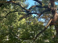 -浙江西子宾馆·瑶园咖啡厅