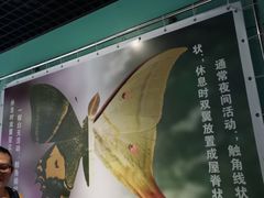 -上海昆虫博物馆