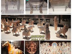 -洛阳博物馆