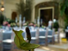 维多利亚花园-利顺德大饭店·维多利亚花园(小白楼店)