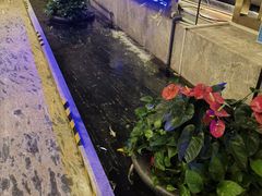 -徐州博顿温德姆酒店(高铁东站店)