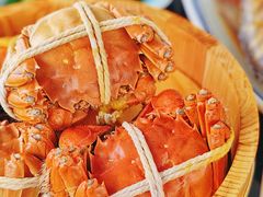 -乡乐园蟹庄·阳澄湖农家乐