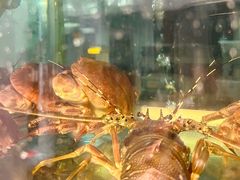 -碗中海·蒸汽海鲜·桑拿鸡(岭南天地店)