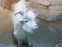 -苏州海洋馆