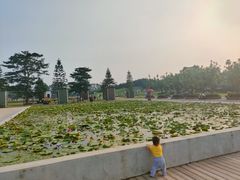 -迪茵湖田家舍生态农场