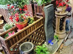 -双季花艺园艺市场(浦东店)