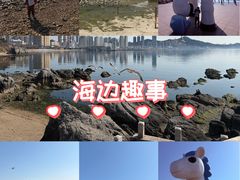 -黑石礁公园