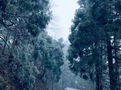 -南岳衡山风景名胜区