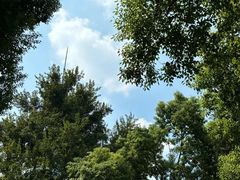 -西北湖绿化广场