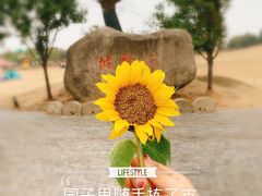-嬉乐湾休闲旅游区