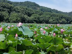 -杭州香格里拉·香宫中餐厅