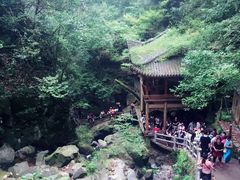 -藏龙百瀑风景区