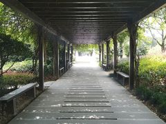 -白马涧龙池景区