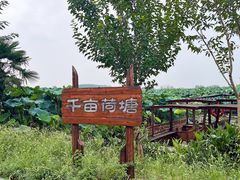 -池杉湖湿地公园