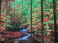 -桂满陇·海市蜃楼·黑金(国金店)