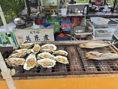 -养马岛旅游度假区